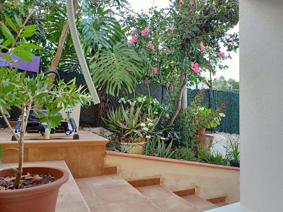 Villa Falconera Apartaments, Gandia A Las Faldas De La Montana Eksteriør billede