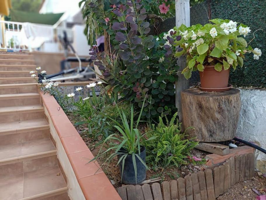 Villa Falconera Apartaments, Gandia A Las Faldas De La Montana Eksteriør billede