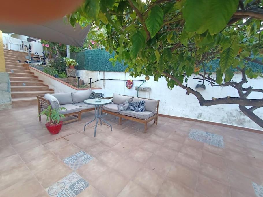Villa Falconera Apartaments, Gandia A Las Faldas De La Montana Eksteriør billede
