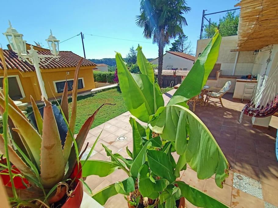 Villa Falconera Apartaments, Gandia A Las Faldas De La Montana Eksteriør billede