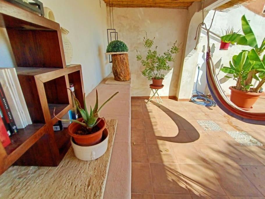 Villa Falconera Apartaments, Gandia A Las Faldas De La Montana Eksteriør billede