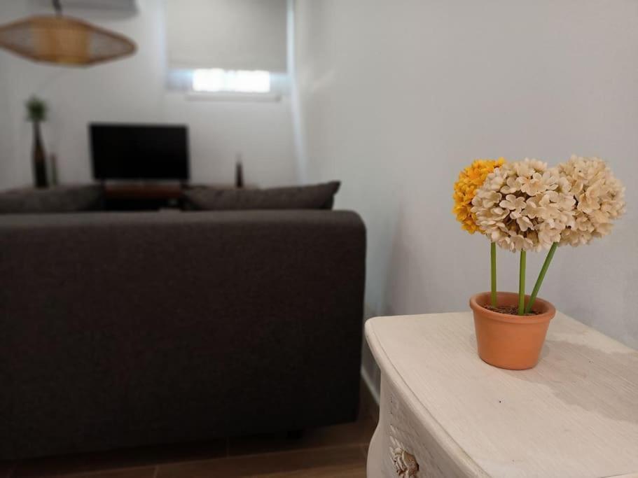 Villa Falconera Apartaments, Gandia A Las Faldas De La Montana Eksteriør billede